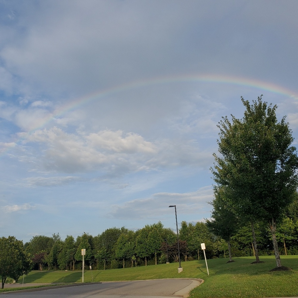 Meet your Posher, Laila